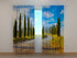 Photo Curtain Cypress Trees in Tuscany