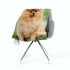 Fleece Blanket Brown Pomeranian Dog