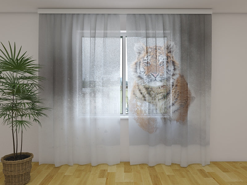 Photo Curtain Amur Tiger