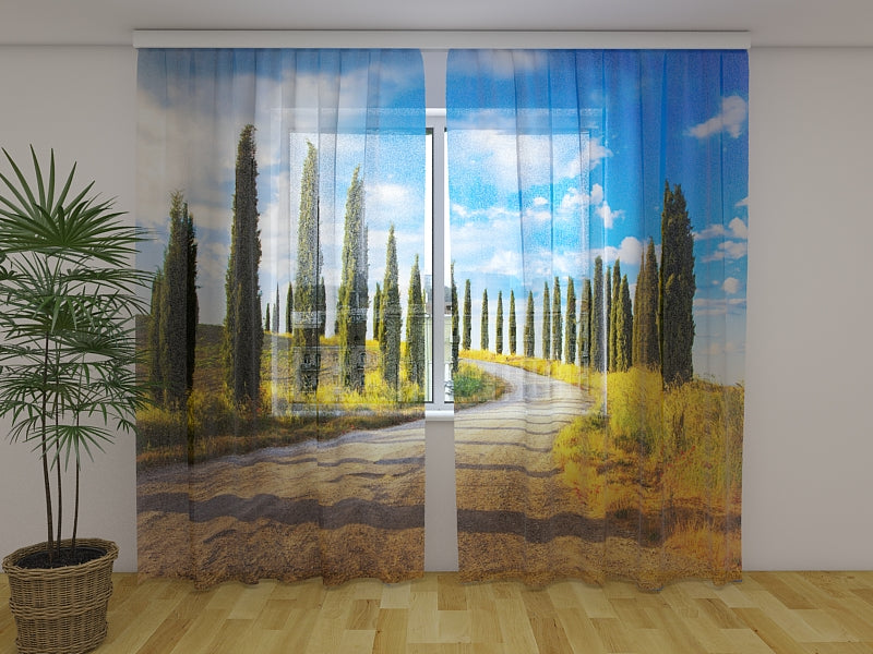 Photo Curtain Cypress Trees in Tuscany