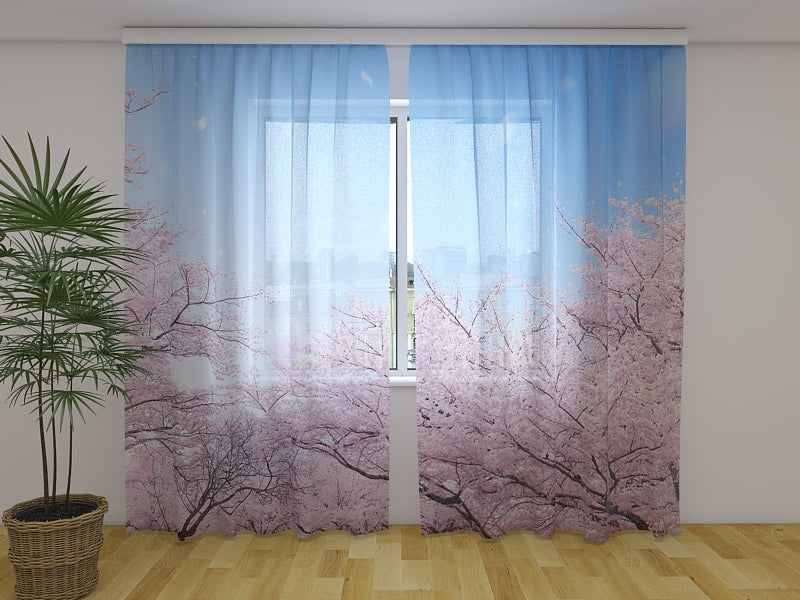 Photo Curtain Sakura Cherry Blossoms in Japan