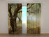 Photo Curtain Old Olive Trees