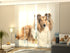 Sliding Panel Curtain Beautiful Collie - Wellmira