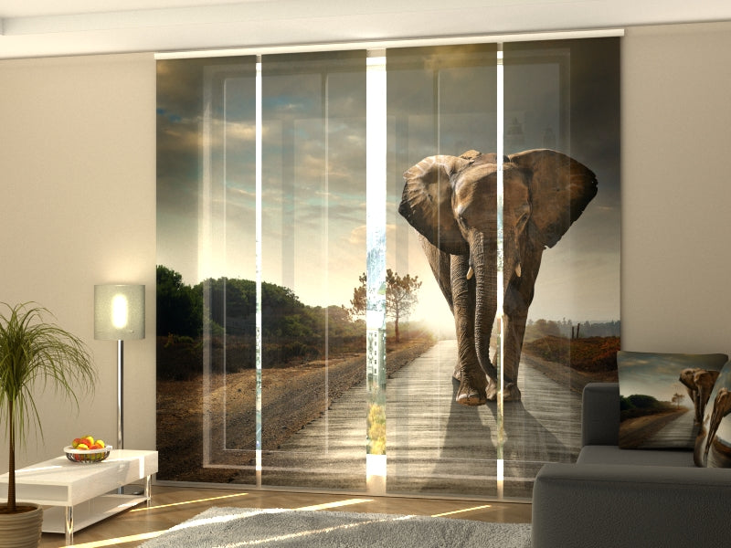 4-Panel Curtains Kit with 4-Track Rail, Imperial Elephant, Size: 60x270 cm