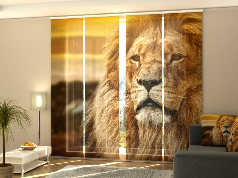 4-Panel Curtains Kit with 4-Track Rail, Lion in Savanna, Size: 60x245 cm