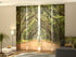 4-Panel Curtains Kit with 4-Track Rail, Oak Trees in Australian Botany Bay, Size: 60x300 cm