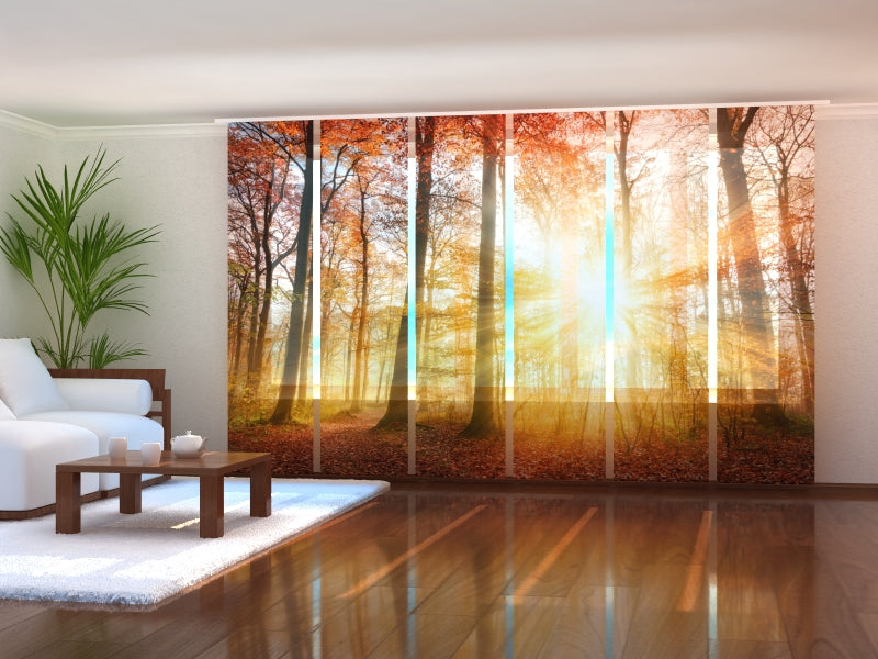 Set of 6 Sliding Panel Curtains Beautiful Autumn Sunlight in a Forest