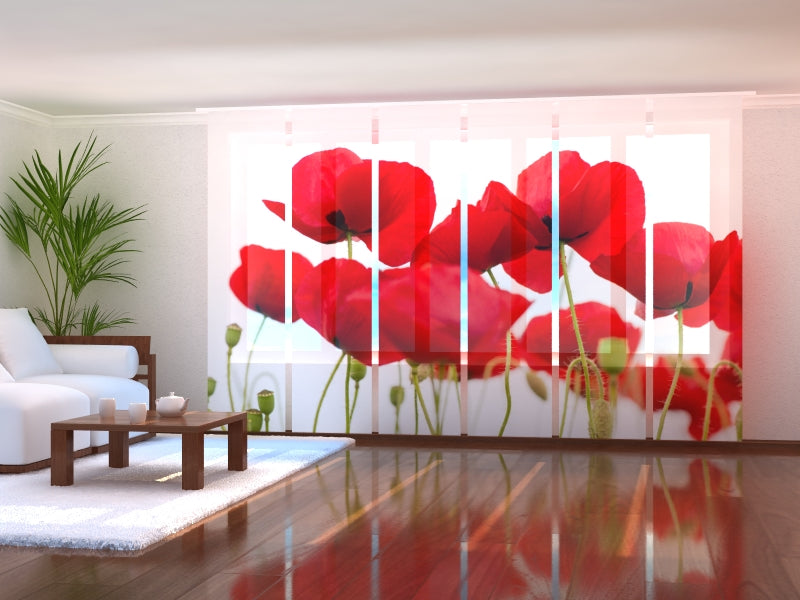 Juego de 6 paneles de cortinas Fresh Red Poppies