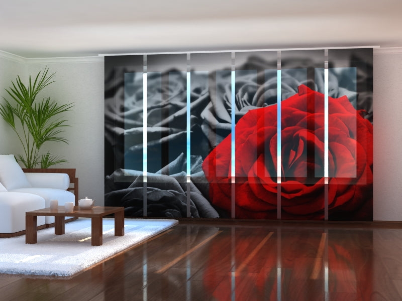 Set of 6 Sliding Panel Curtains Red Rose on Black and White