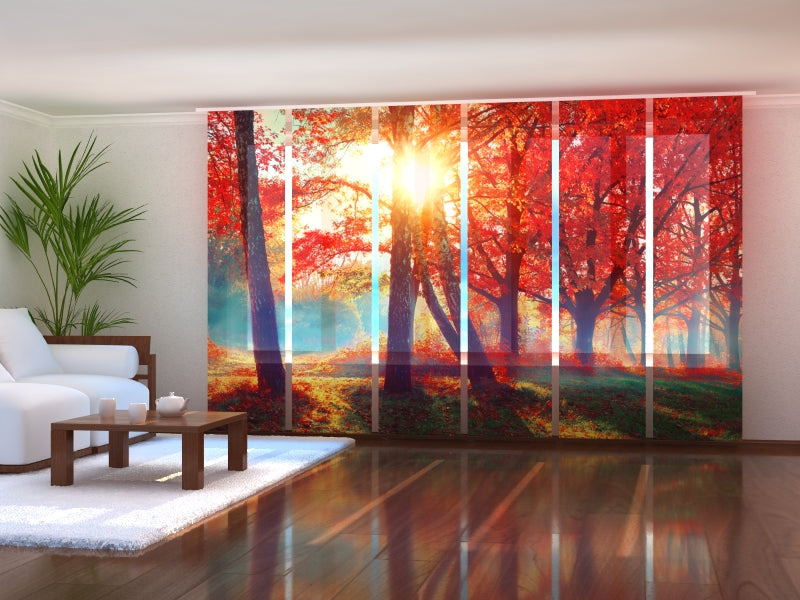 Juego de 6 cortinas Sunshine in the Red Autumn Forest