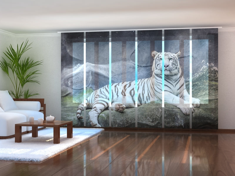 Set of 6 Sliding Panel Curtains Tiger on a Rock