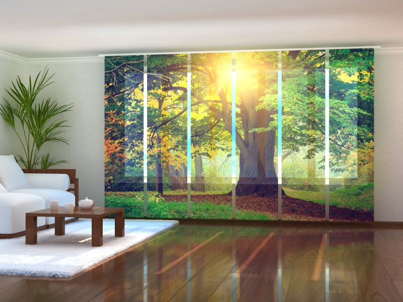 Sliding Panel Curtain Big Green Tree