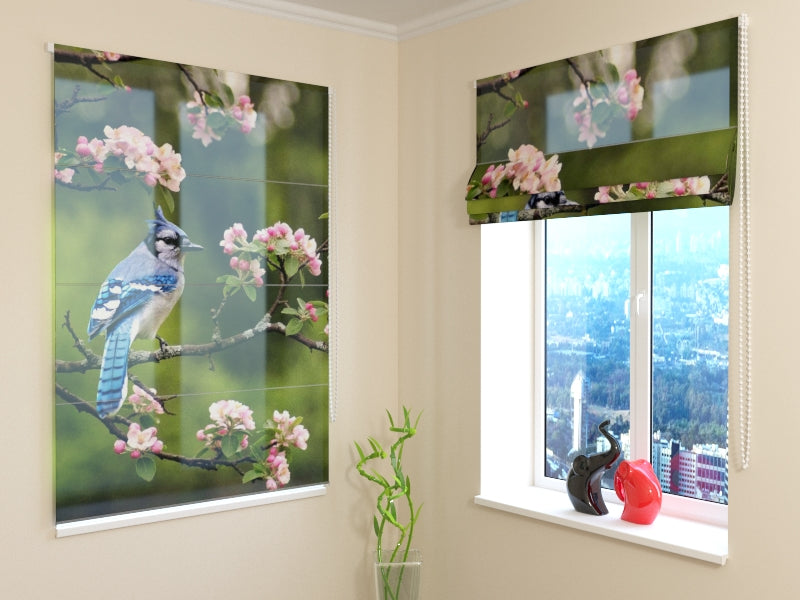 Roman Blind Beautiful Blue Jay en la ramita de primavera