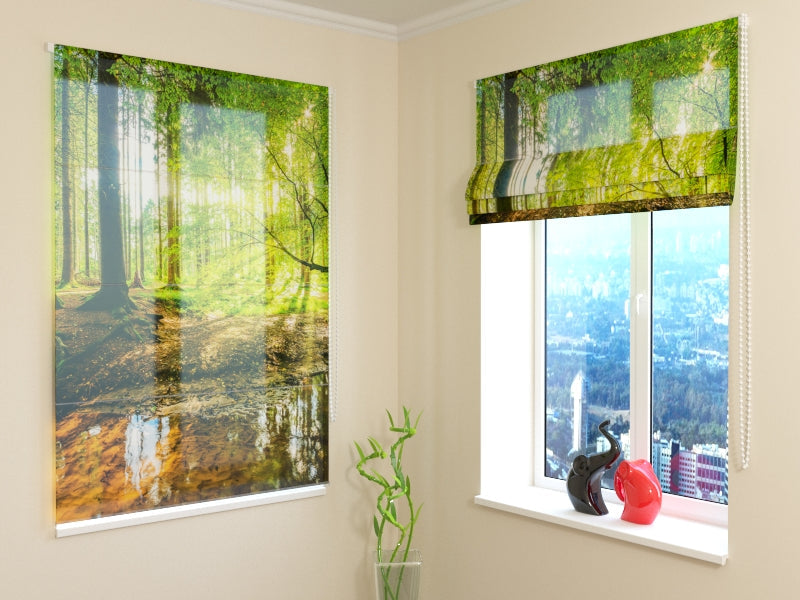 Roman Blind Sunbeams in the Forest