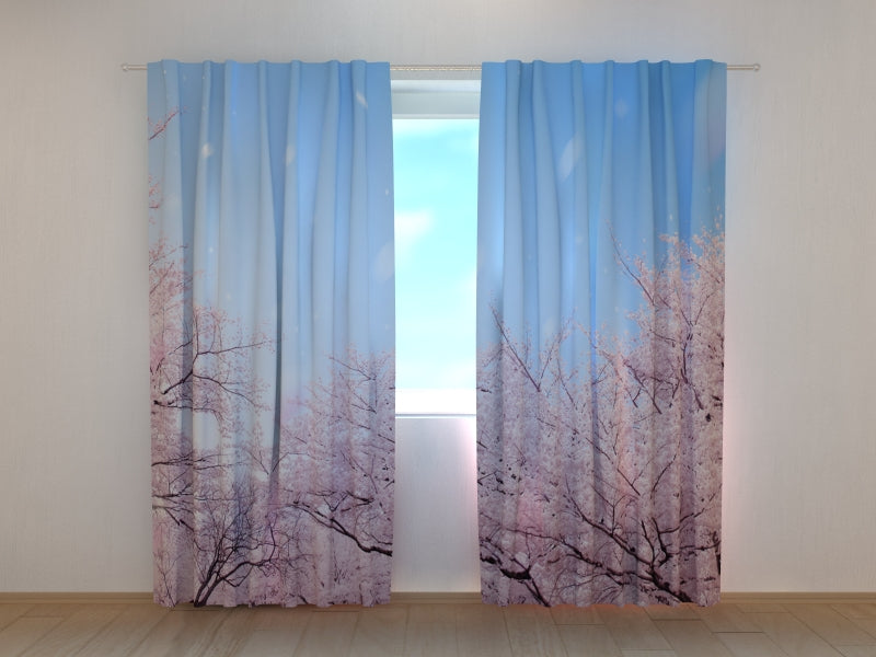 Photo Curtain Sakura Cherry Blossoms in Japan