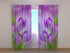 Photo Curtain Spring Crocuses